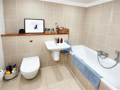 Picture 14
